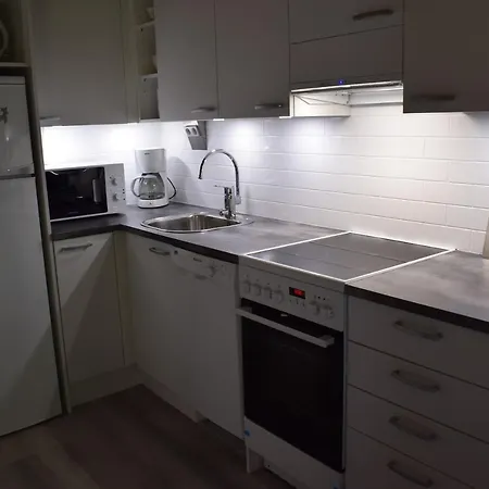 Pyhaen Kaemppae Log Apartment Сasa de vacaciones Pyhätunturi
